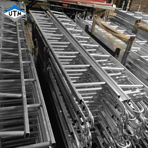 Q235 verzinkter Stahlgerüst vertikaler Leiterhaken -Affenleiter für den Bau